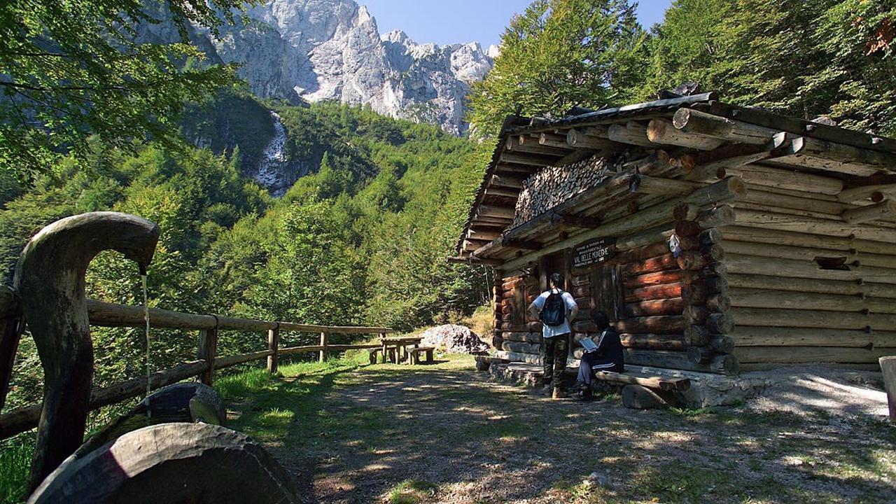 Hotel Chalet Giasenei Sagron Mis Экстерьер фото