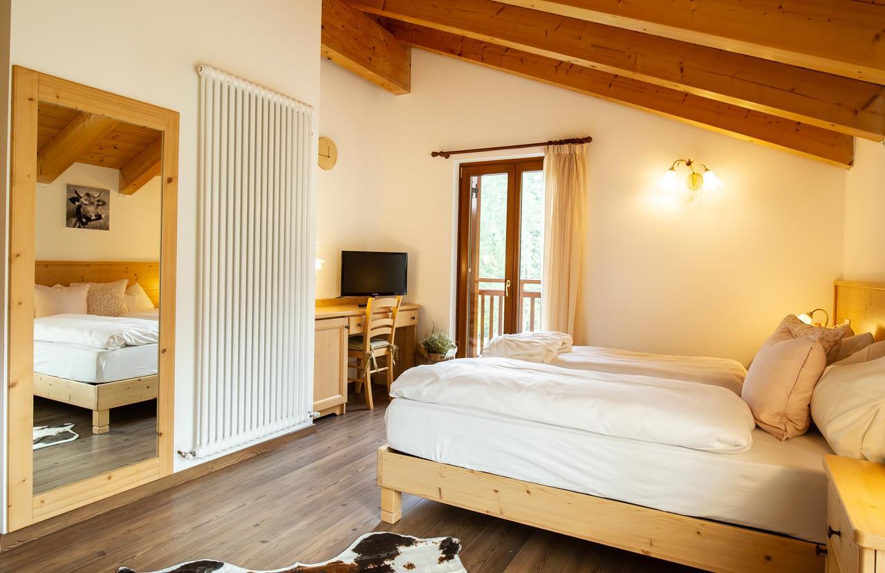 Hotel Chalet Giasenei Sagron Mis Экстерьер фото